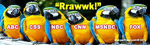 Parroting Parroting