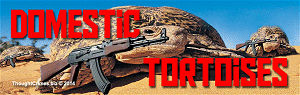 Tortoises Tortoises